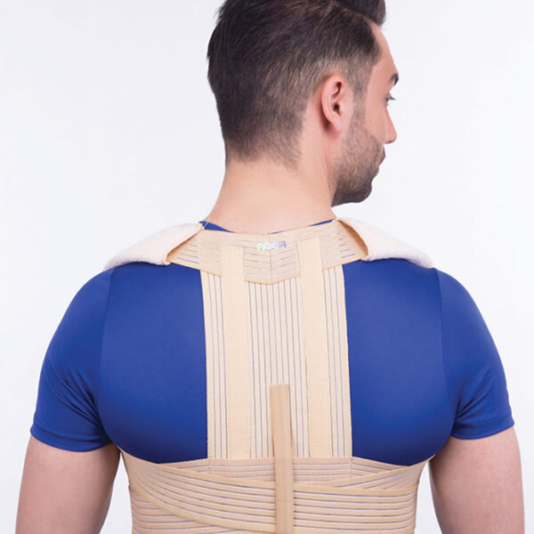 قوزبند الاستیک صادراتی پل دار